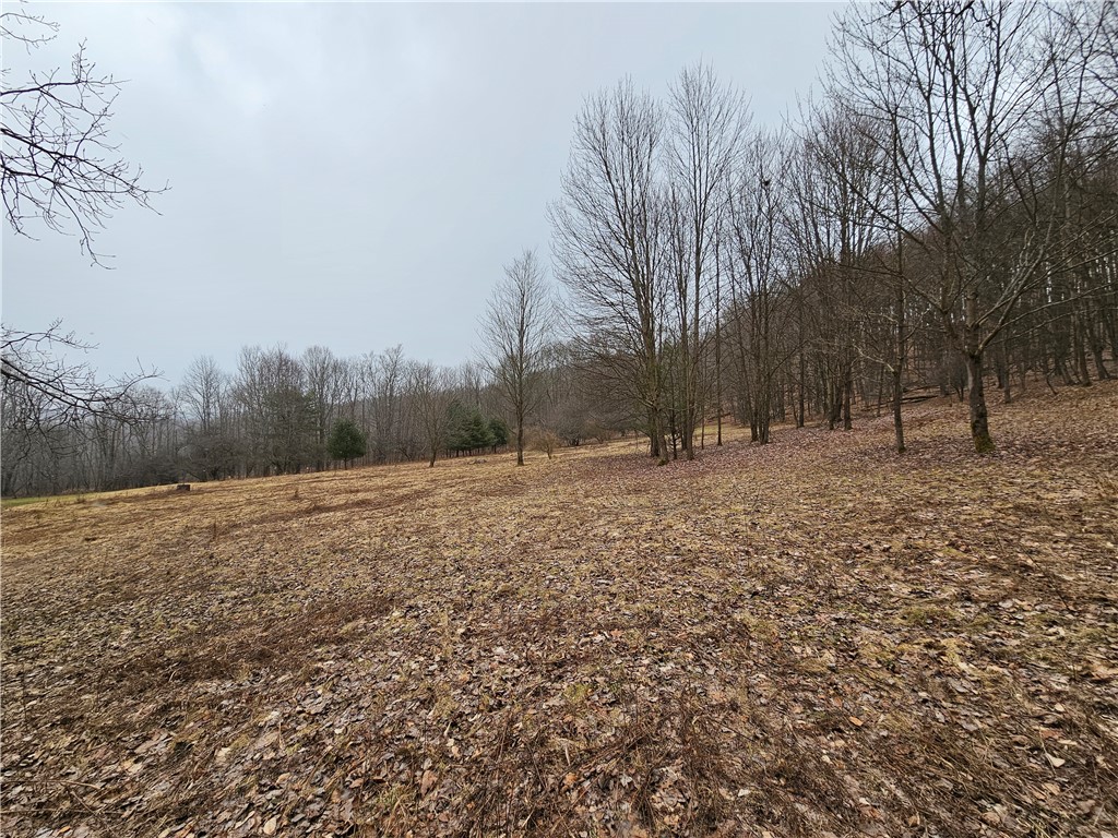 5335 Hog Brook Road Alma, NY 14895 - Photo 34 of 40