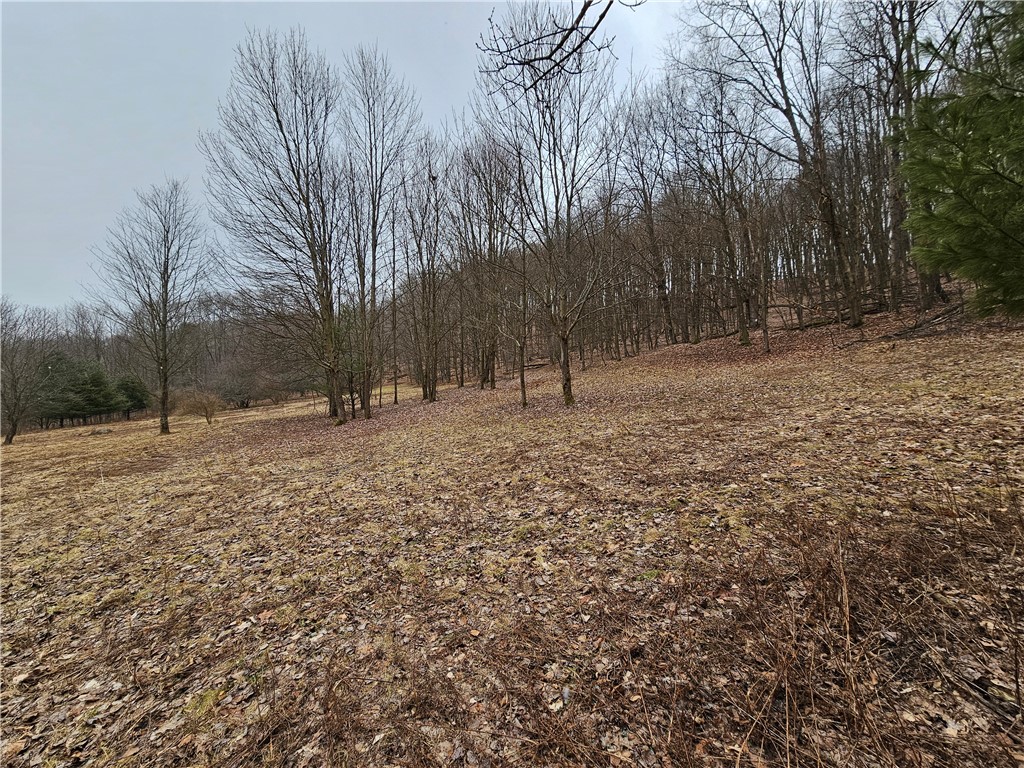 5335 Hog Brook Road Alma, NY 14895 - Photo 35 of 40