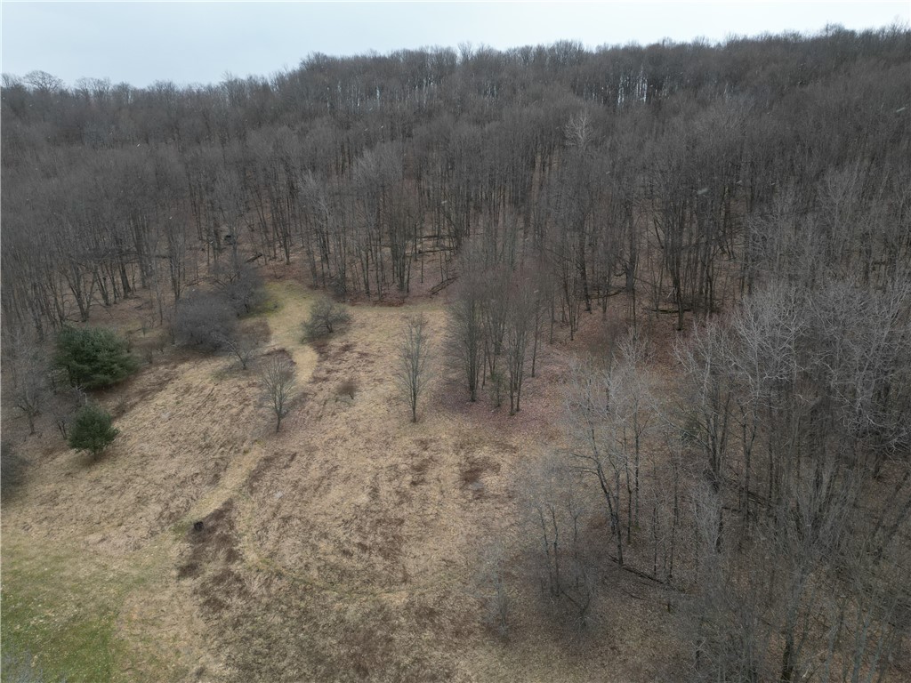 5335 Hog Brook Road Alma, NY 14895 - Photo 36 of 40