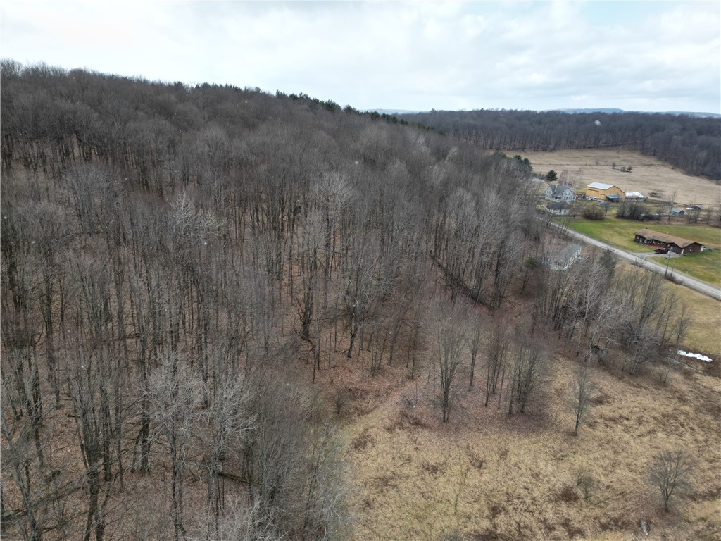 5335 Hog Brook Road Alma, NY 14895 - Photo 37 of 40