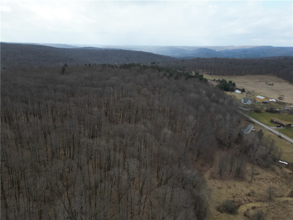 5335 Hog Brook Road Alma, NY 14895 - Photo 38 of 40