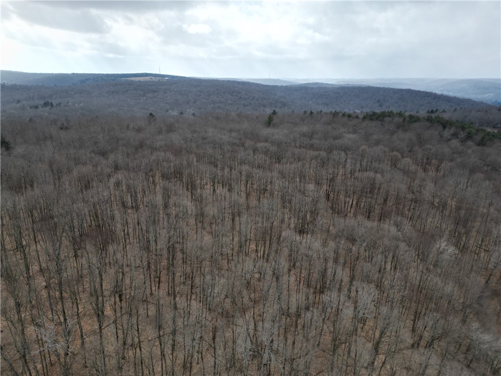 5335 Hog Brook Road Alma, NY 14895 - Photo 40 of 40
