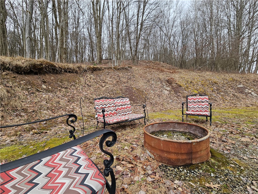 5335 Hog Brook Road Alma, NY 14895 - Photo 10 of 40