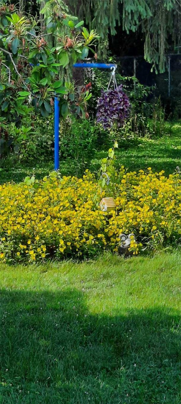 241 Erie Street Erwin, NY 14870 - Photo 35 of 40 Beautiful perennials