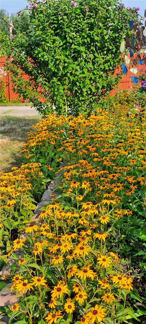 241 Erie Street Erwin, NY 14870 - Photo 38 of 40