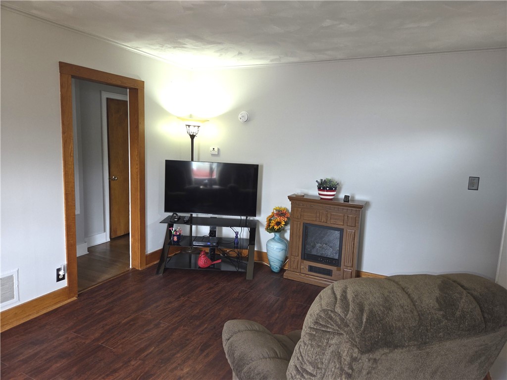 241 Erie Street Erwin, NY 14870 - Photo 9 of 40 Living room additional