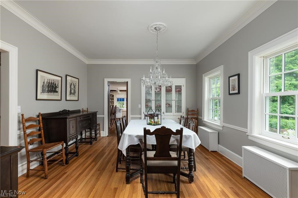 644 Riverside Drive Painesville, OH 44077 - Photo 8 of 48 Dining area with a chandelier, light wood finished floors, radiator, baseboards, and ornamental molding