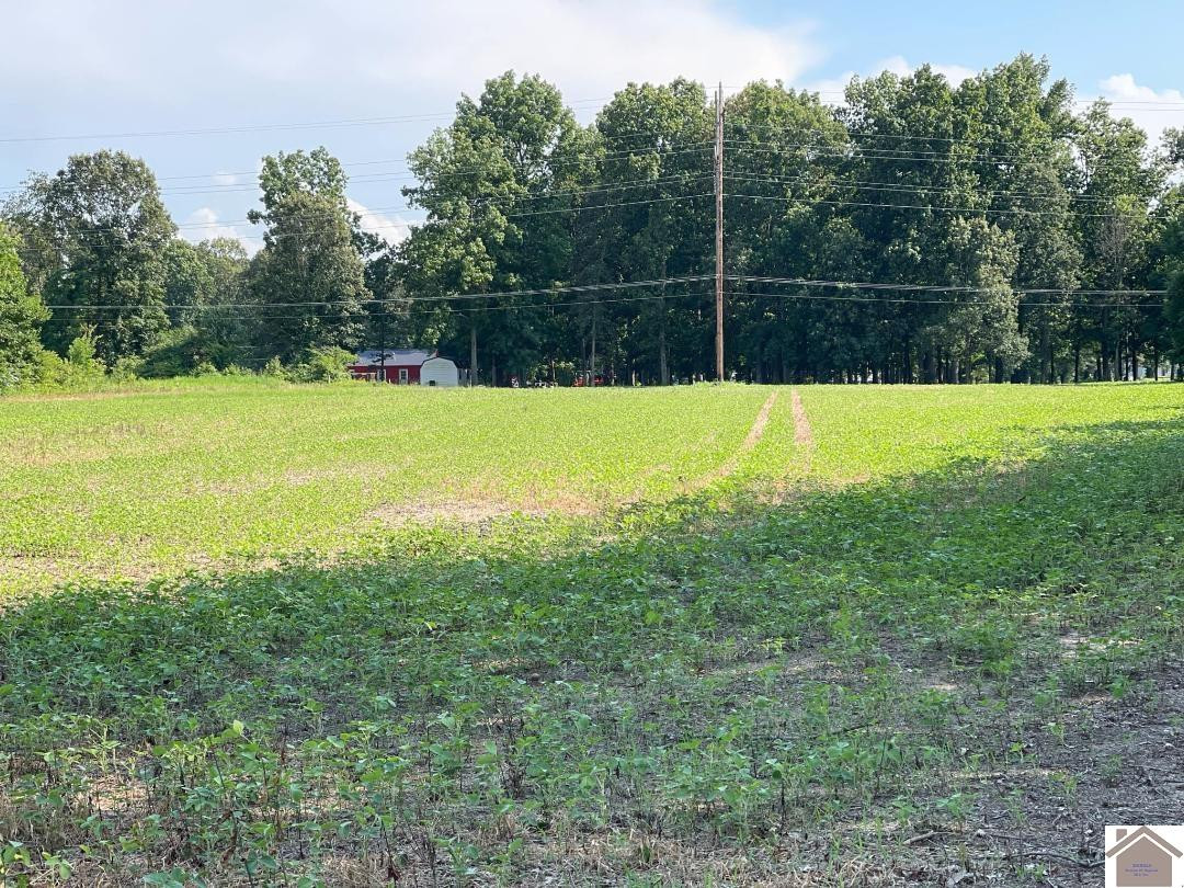 9850 Crotzer Road West Paducah, KY 42086 - Photo 2 of 2 Photo 2