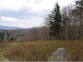 Hagar Clearing Road Woodford, VT 05201 - Photo 1 of 1