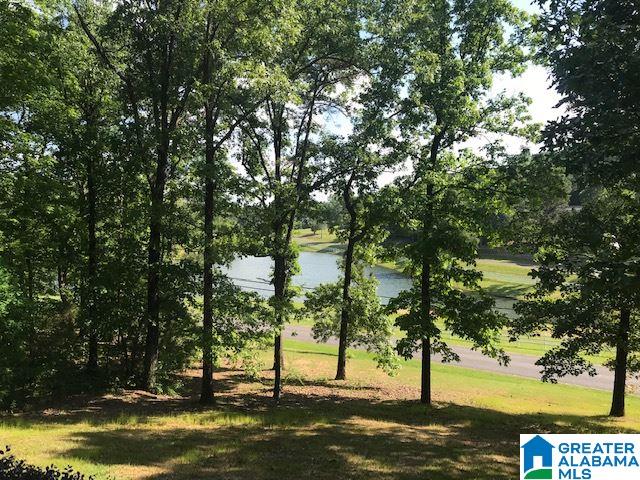 650 Copper Springs Road Odenville, AL 35120 - Photo 6 of 29
