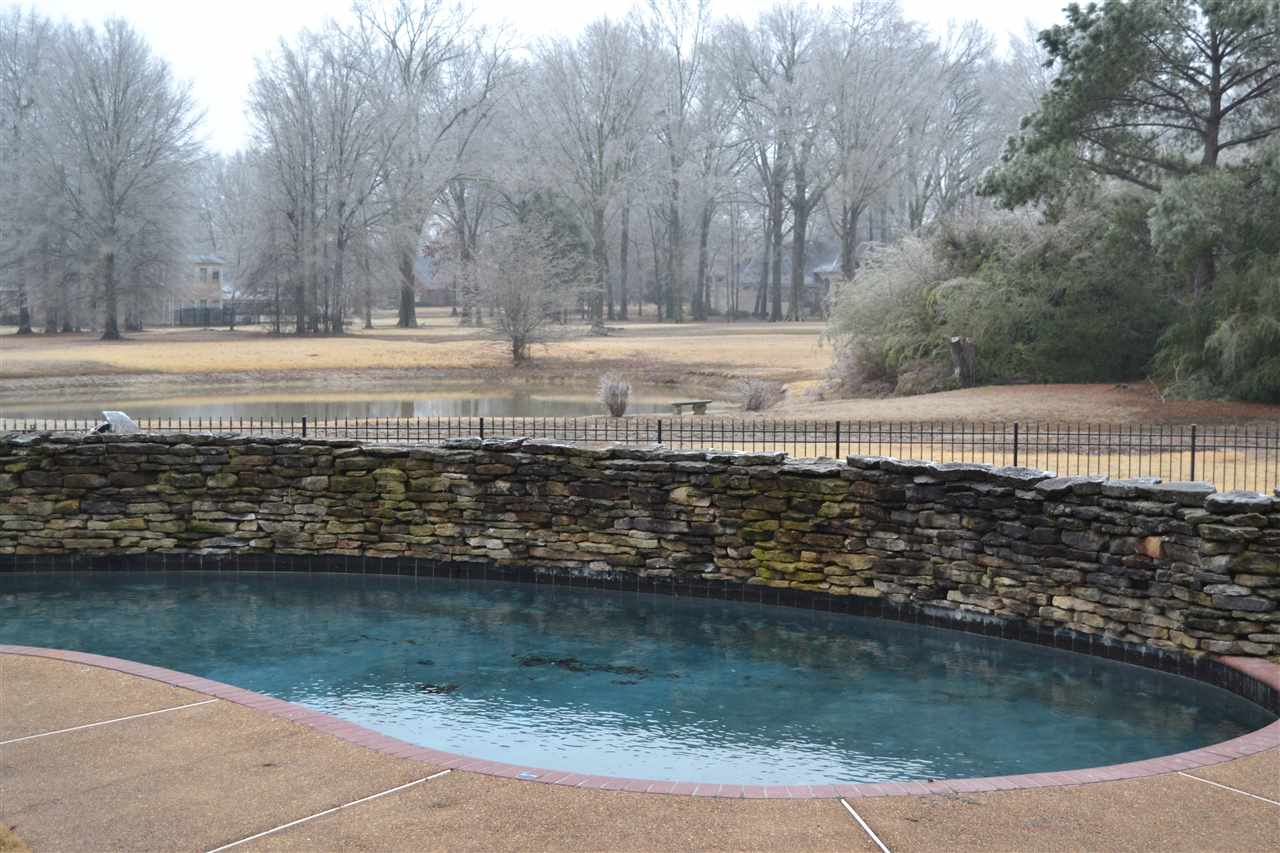 9555 Plantation Lake Road Collierville, TN 38017 - Photo 24 of 25 Gallery Image 24