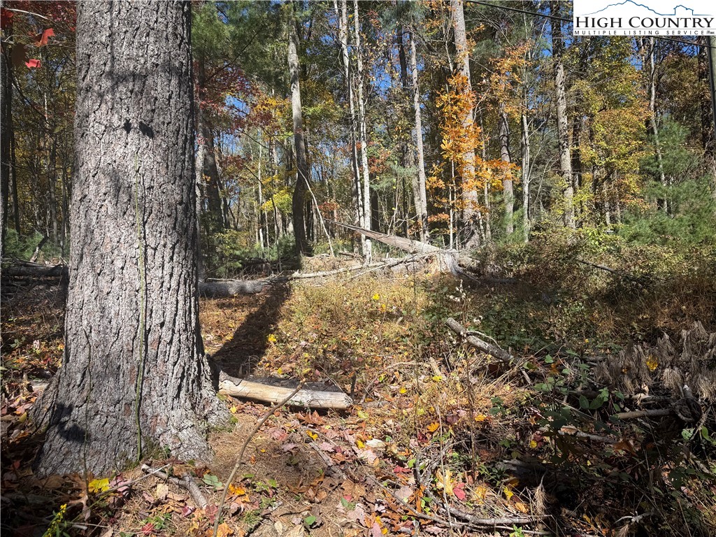 Oak Tree Lane Jefferson, NC 28640 - Photo 2 of 5