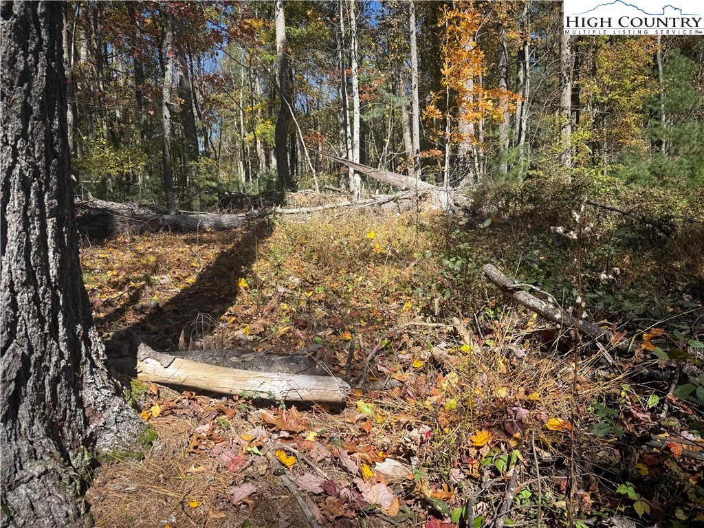 Oak Tree Lane Jefferson, NC 28640 - Photo 3 of 5 a view of a yard with plants and trees