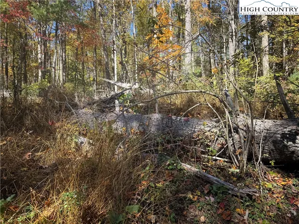 $30,000 | Oak Tree Lane, Jefferson, NC 28640