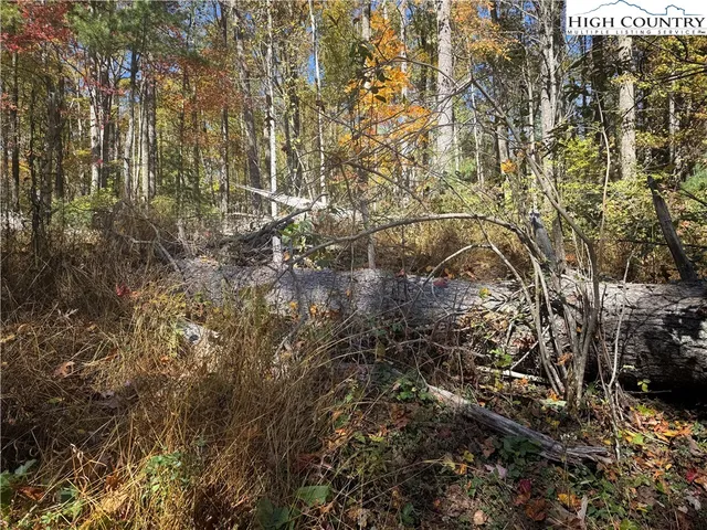 $30,000 | Oak Tree Lane, Jefferson, NC 28640