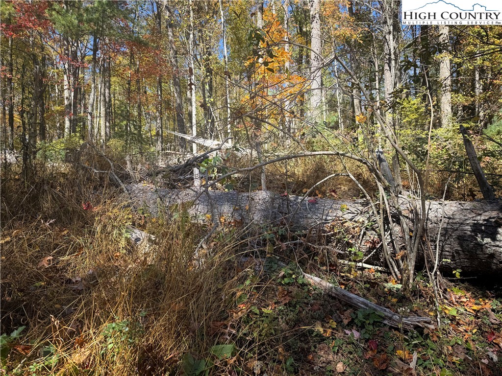 Oak Tree Lane Jefferson, NC 28640 - Photo 5 of 5 a view of a yard