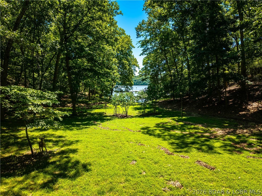 153 Sille Acres Road Sunrise Beach, MO 65079 - Photo 90 of 94