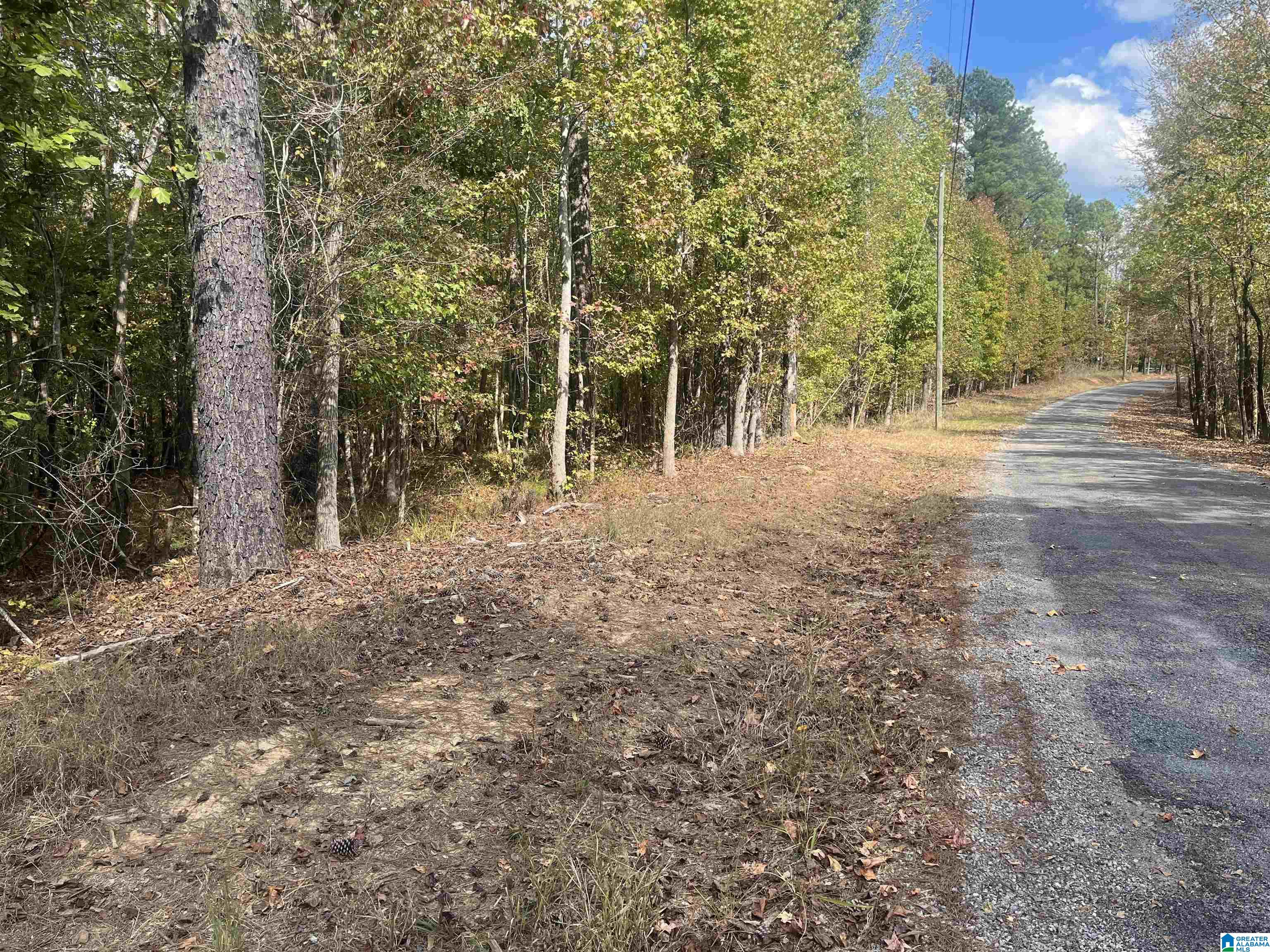 Eagle Port Road, Unit 7&8 Quinton, AL 35130 - Photo 9 of 12