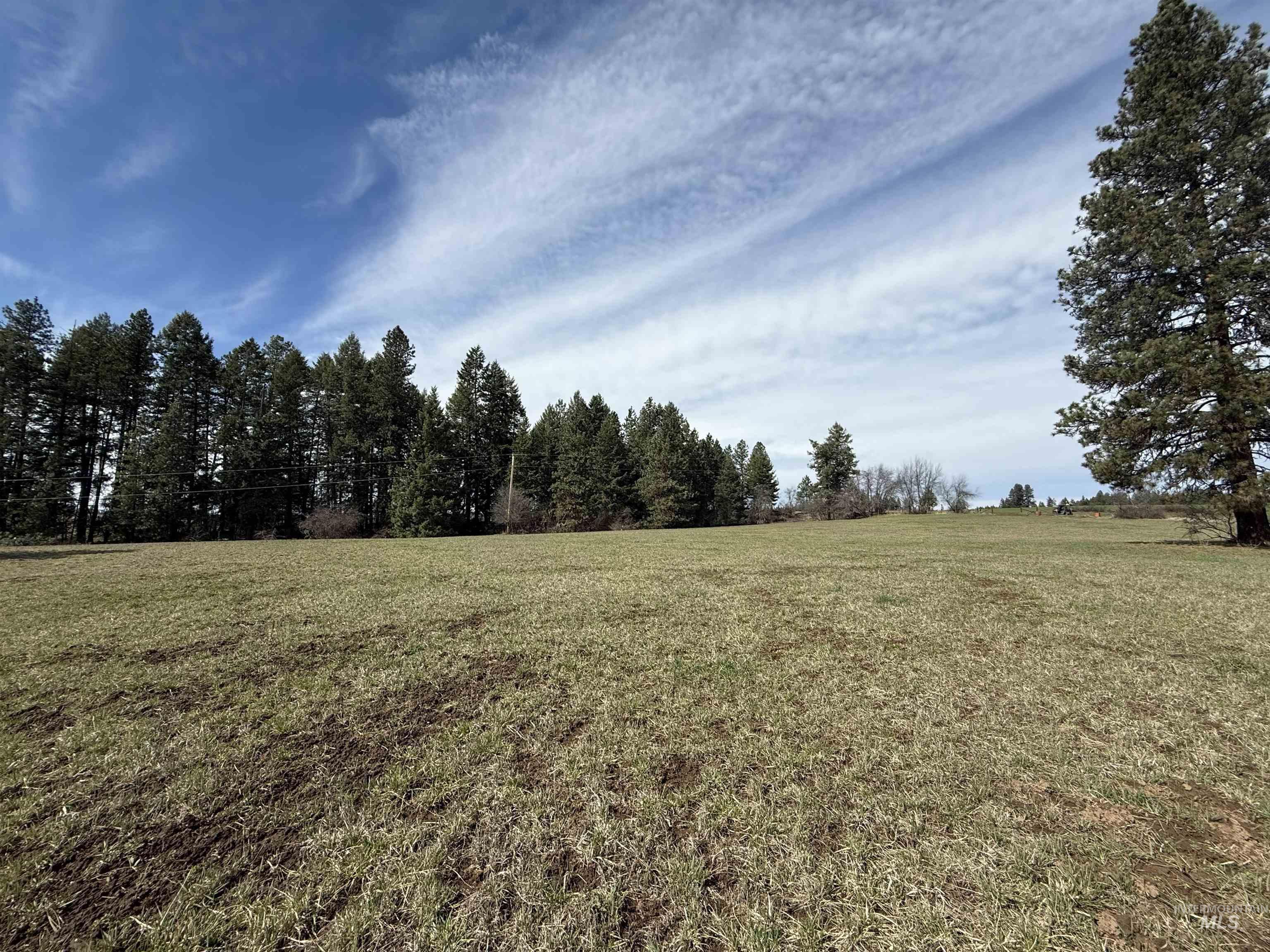 Tbd Kidder Ridge Road Kamiah, ID 83536 - Photo 11 of 18 View of undeveloped land with rural landscape