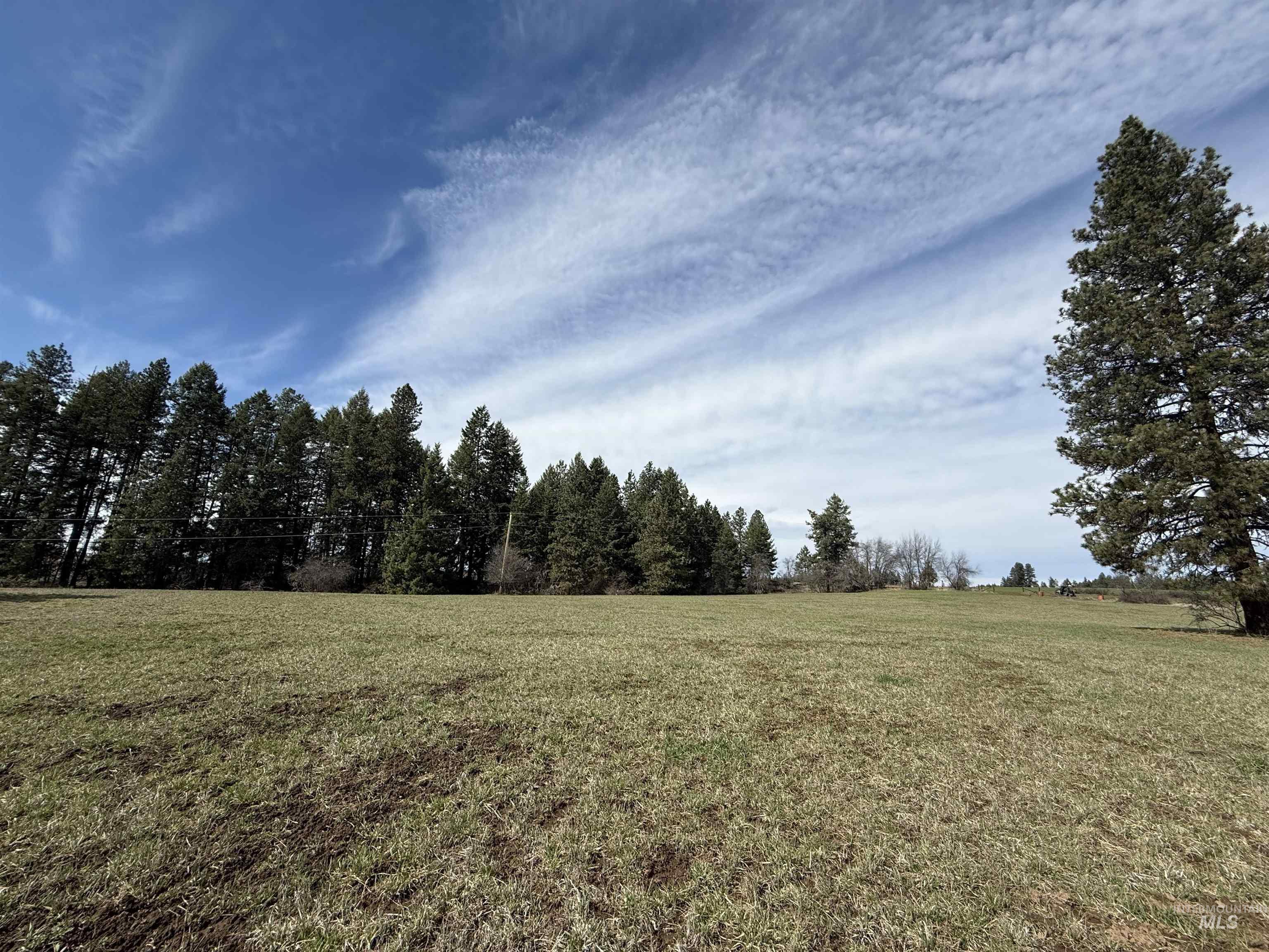 Tbd Kidder Ridge Road Kamiah, ID 83536 - Photo 12 of 18 View of local wilderness with rural landscape