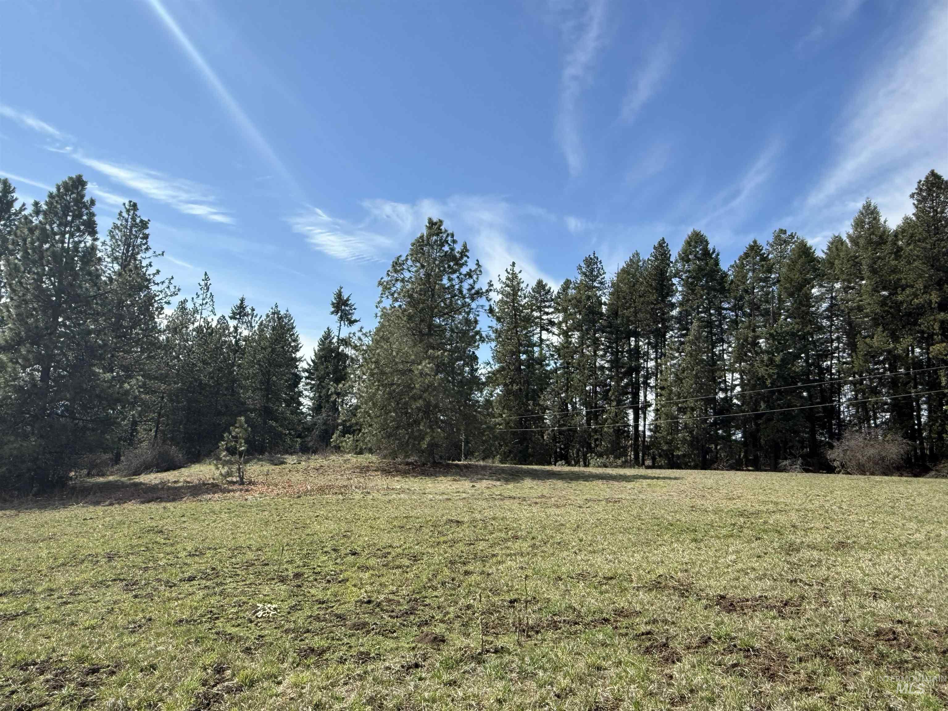 Tbd Kidder Ridge Road Kamiah, ID 83536 - Photo 13 of 18 View of grassy yard