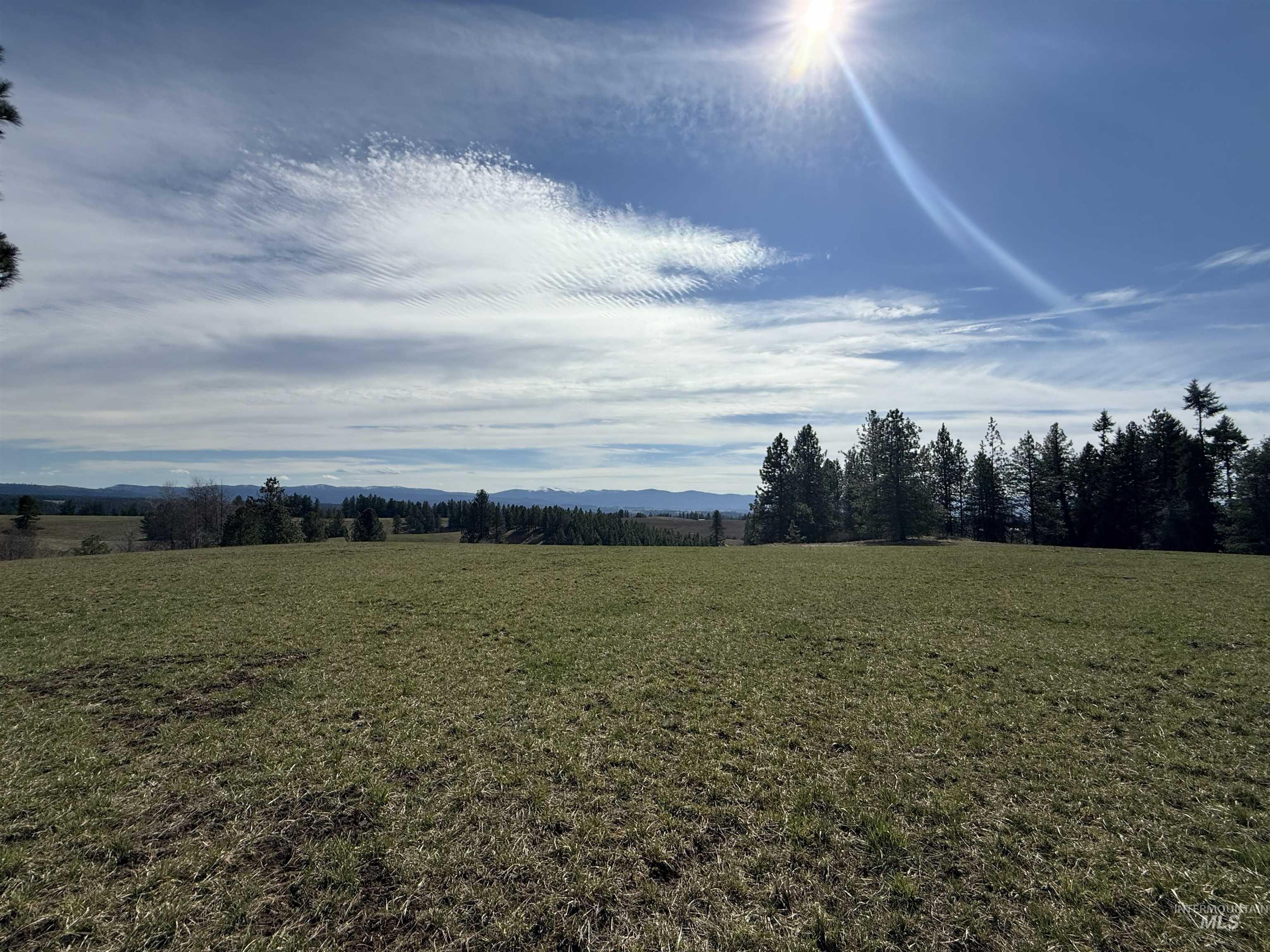 Tbd Kidder Ridge Road Kamiah, ID 83536 - Photo 14 of 18 View of local wilderness featuring rural landscape and mountains