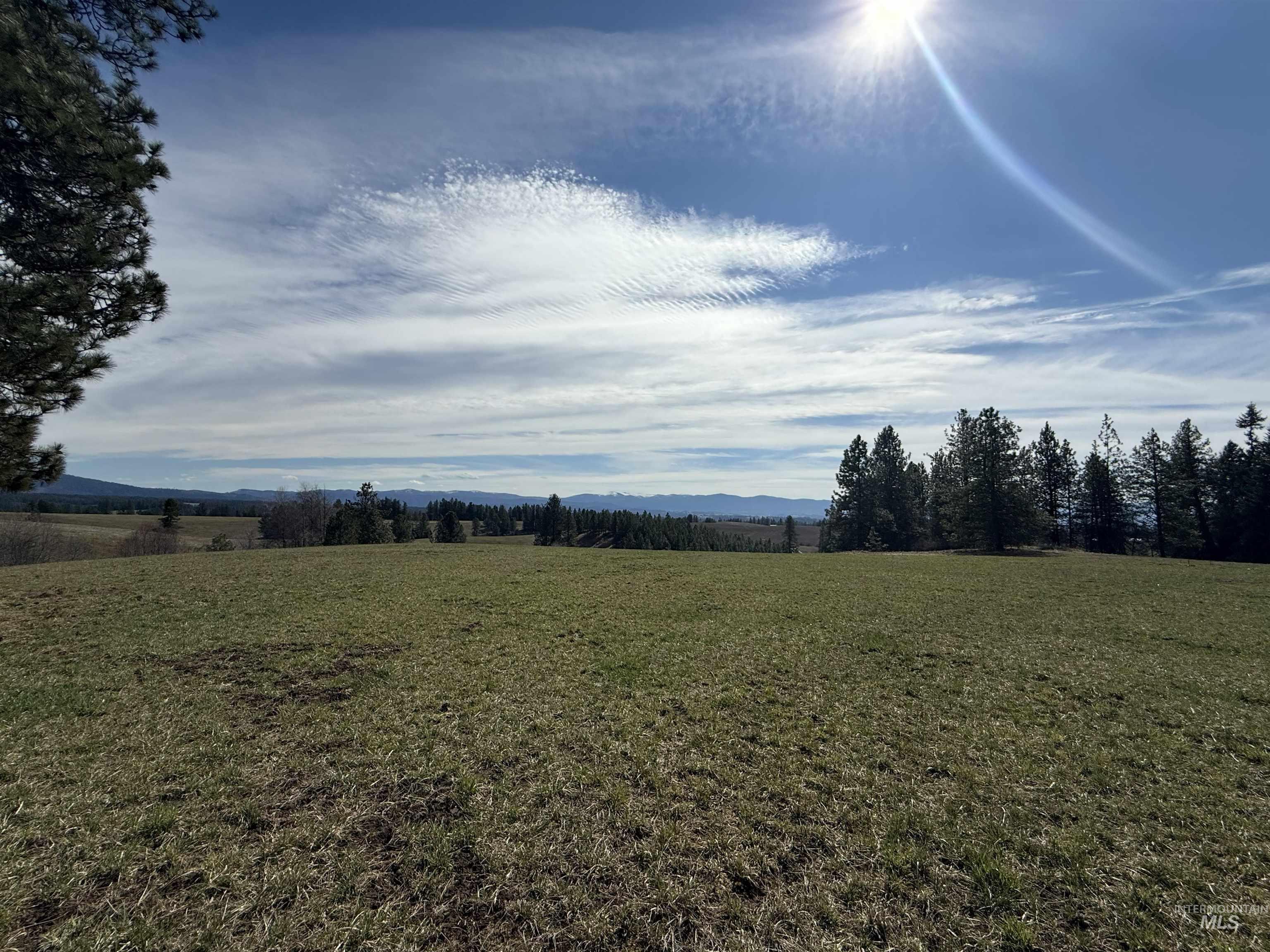 Tbd Kidder Ridge Road Kamiah, ID 83536 - Photo 15 of 18 View of grassy yard featuring a view of countryside and a mountain view