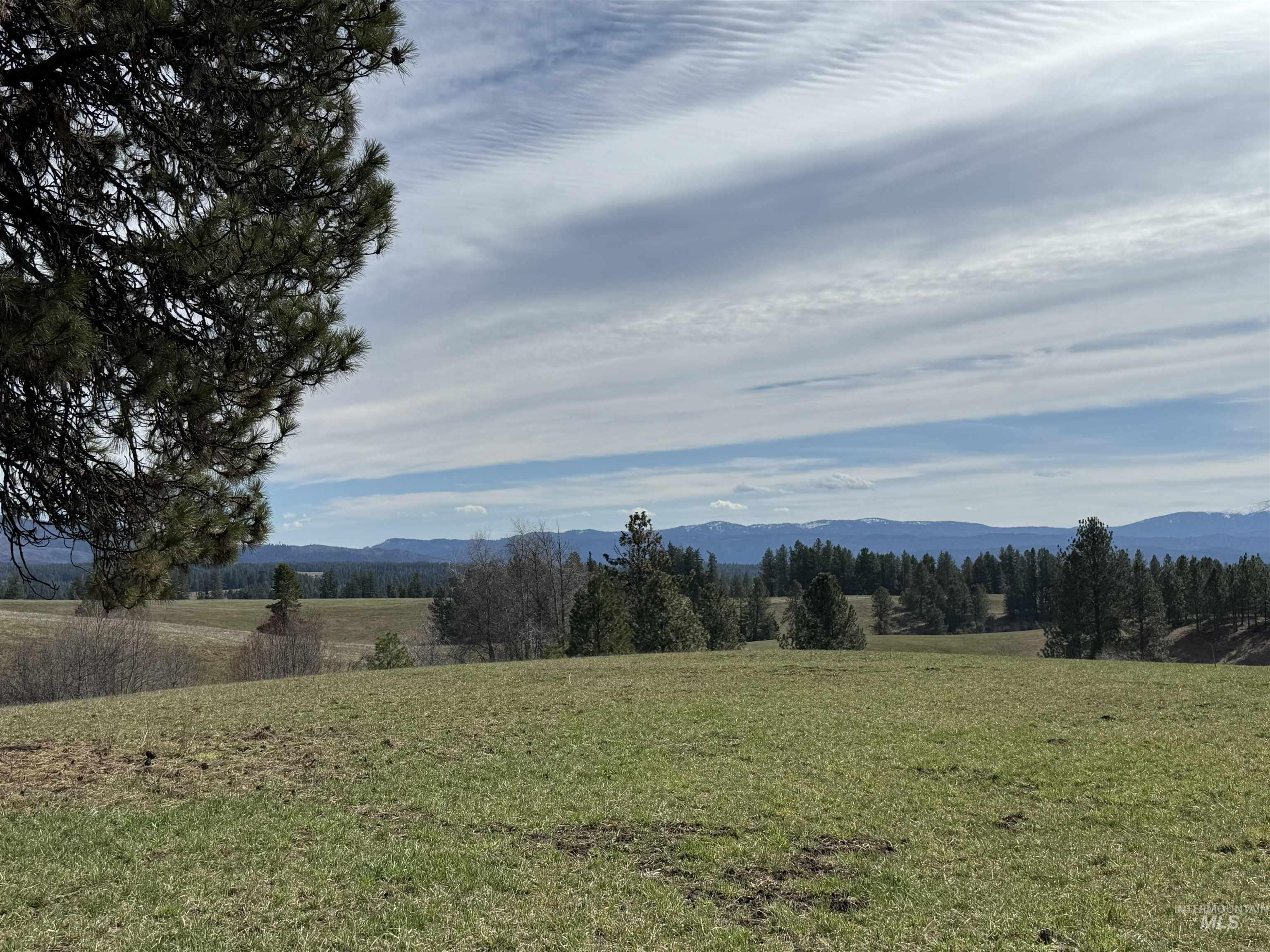 Tbd Kidder Ridge Road Kamiah, ID 83536 - Photo 16 of 18 Mountain view featuring rural landscape