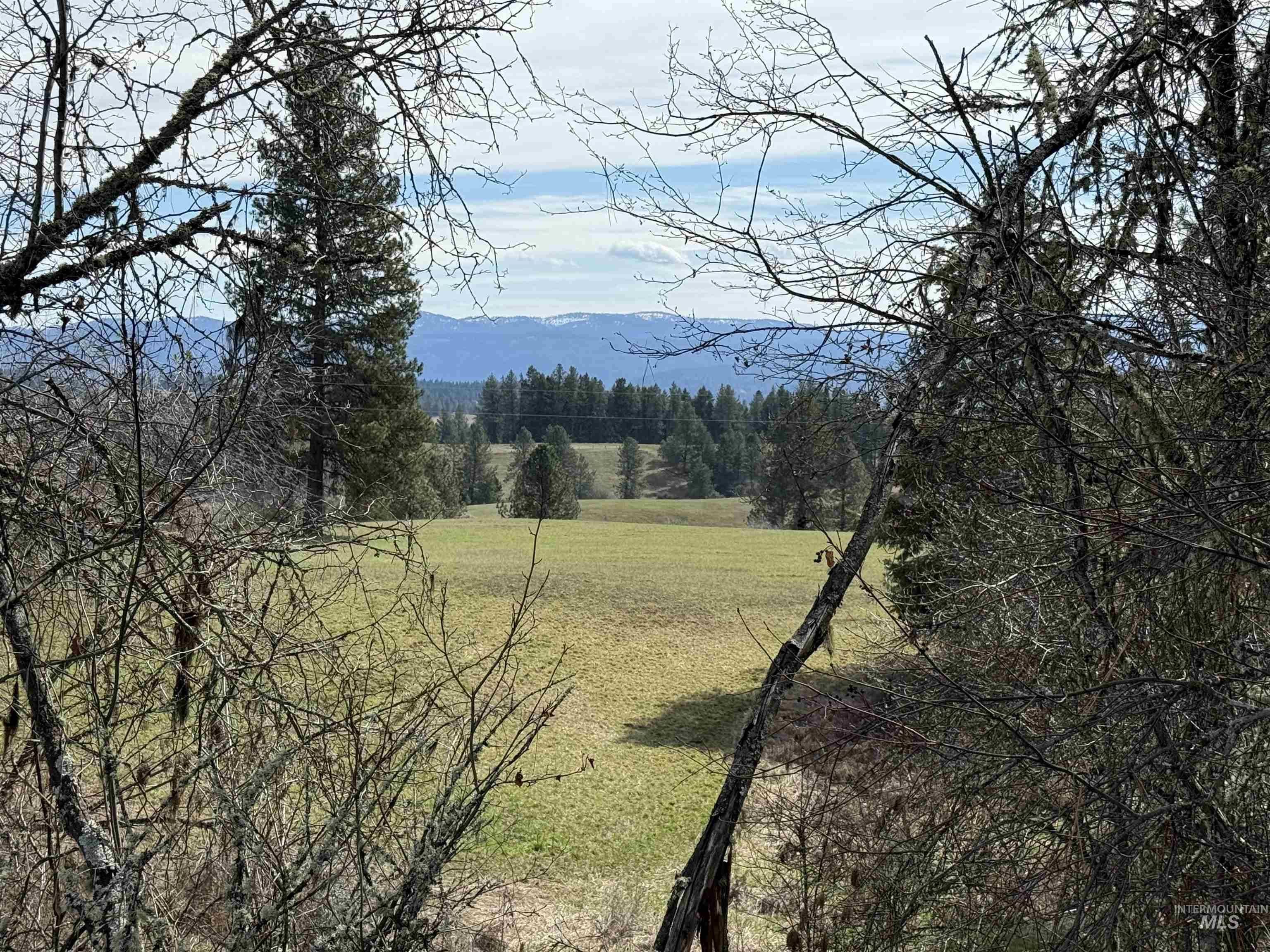 Tbd Kidder Ridge Road Kamiah, ID 83536 - Photo 2 of 18 View of mountain background