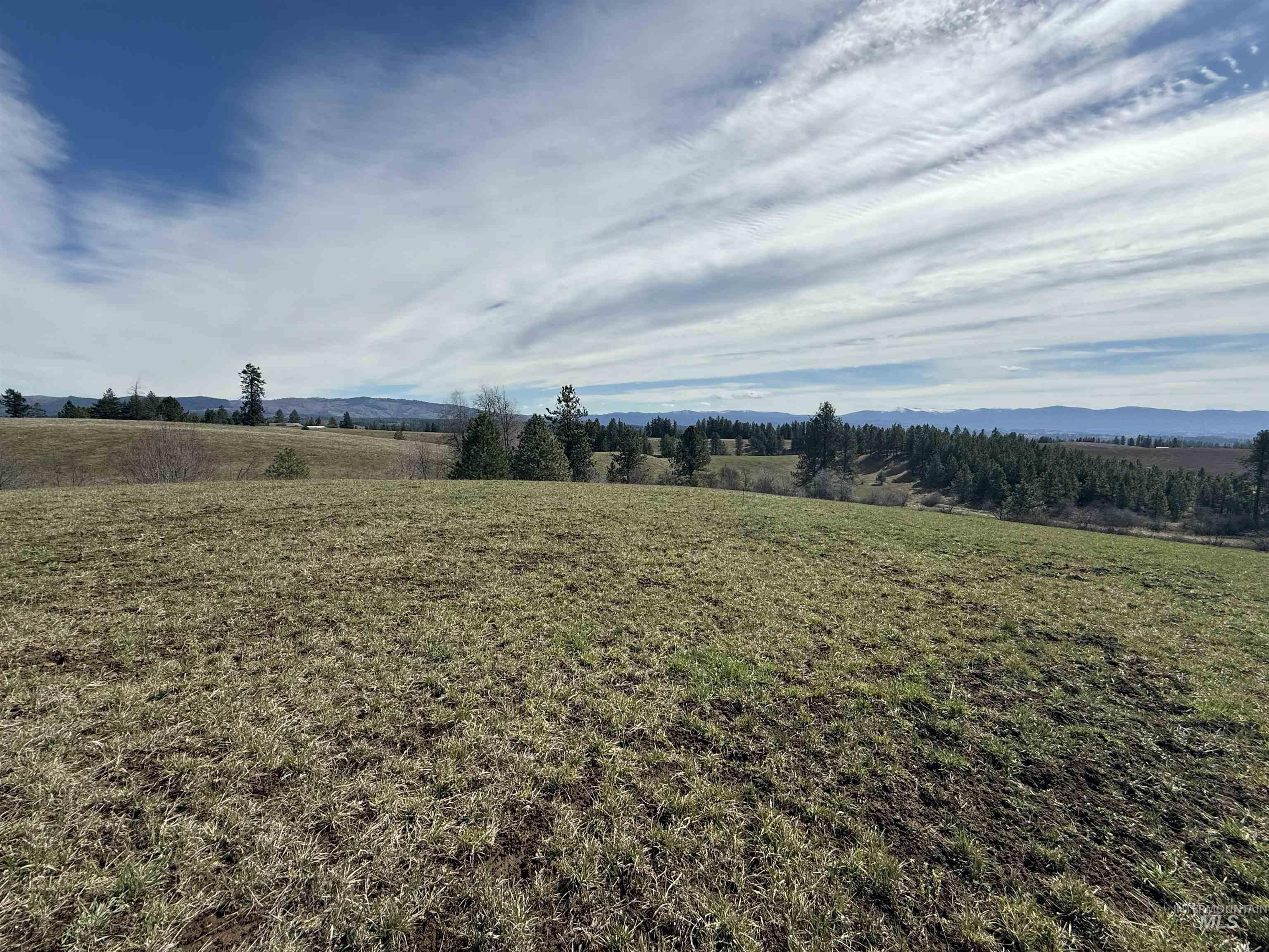 Tbd Kidder Ridge Road Kamiah, ID 83536 - Photo 5 of 18 View of green lawn featuring a view of rural / pastoral area
