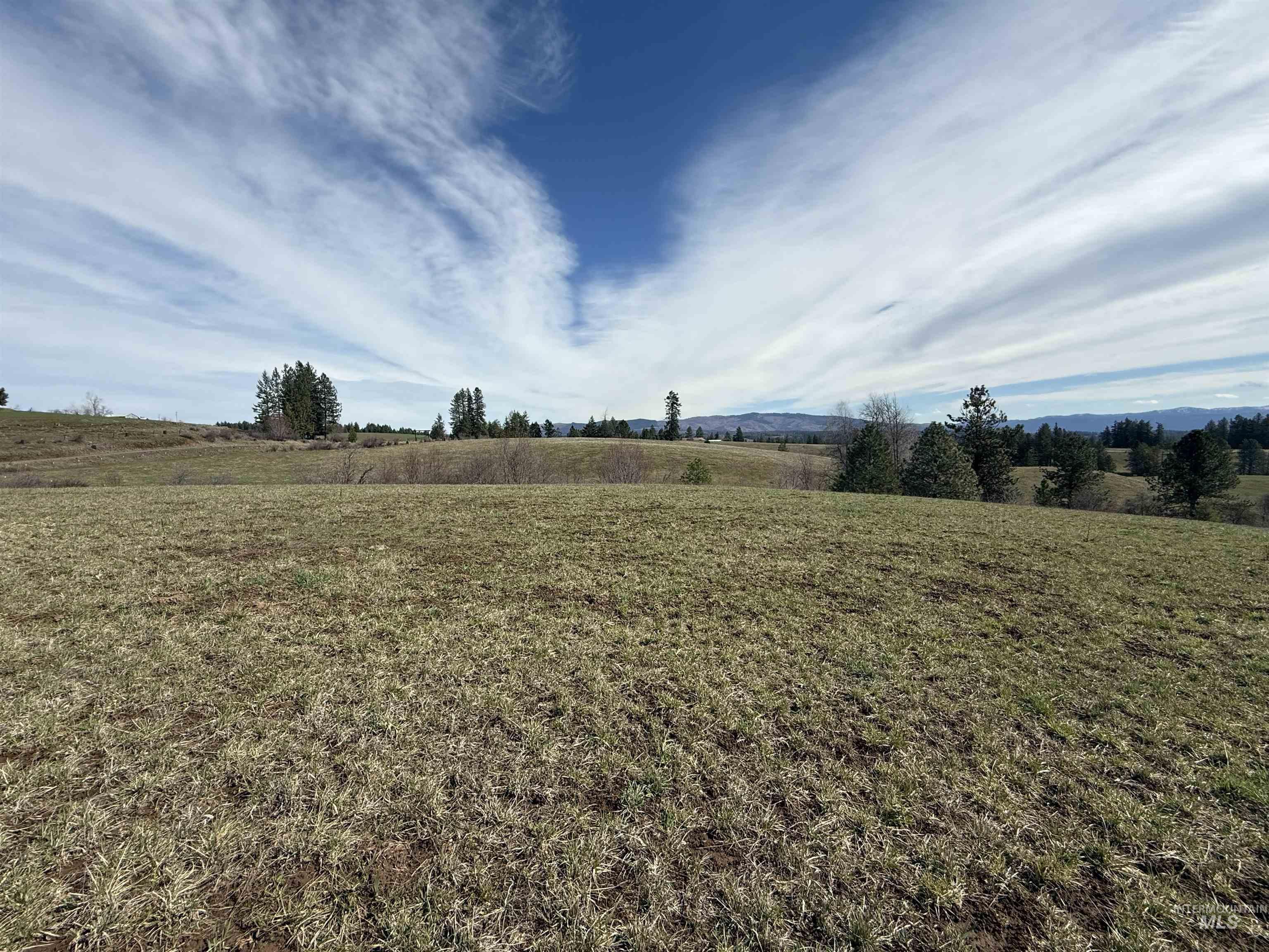 Tbd Kidder Ridge Road Kamiah, ID 83536 - Photo 6 of 18 View of green lawn featuring a view of rural / pastoral area