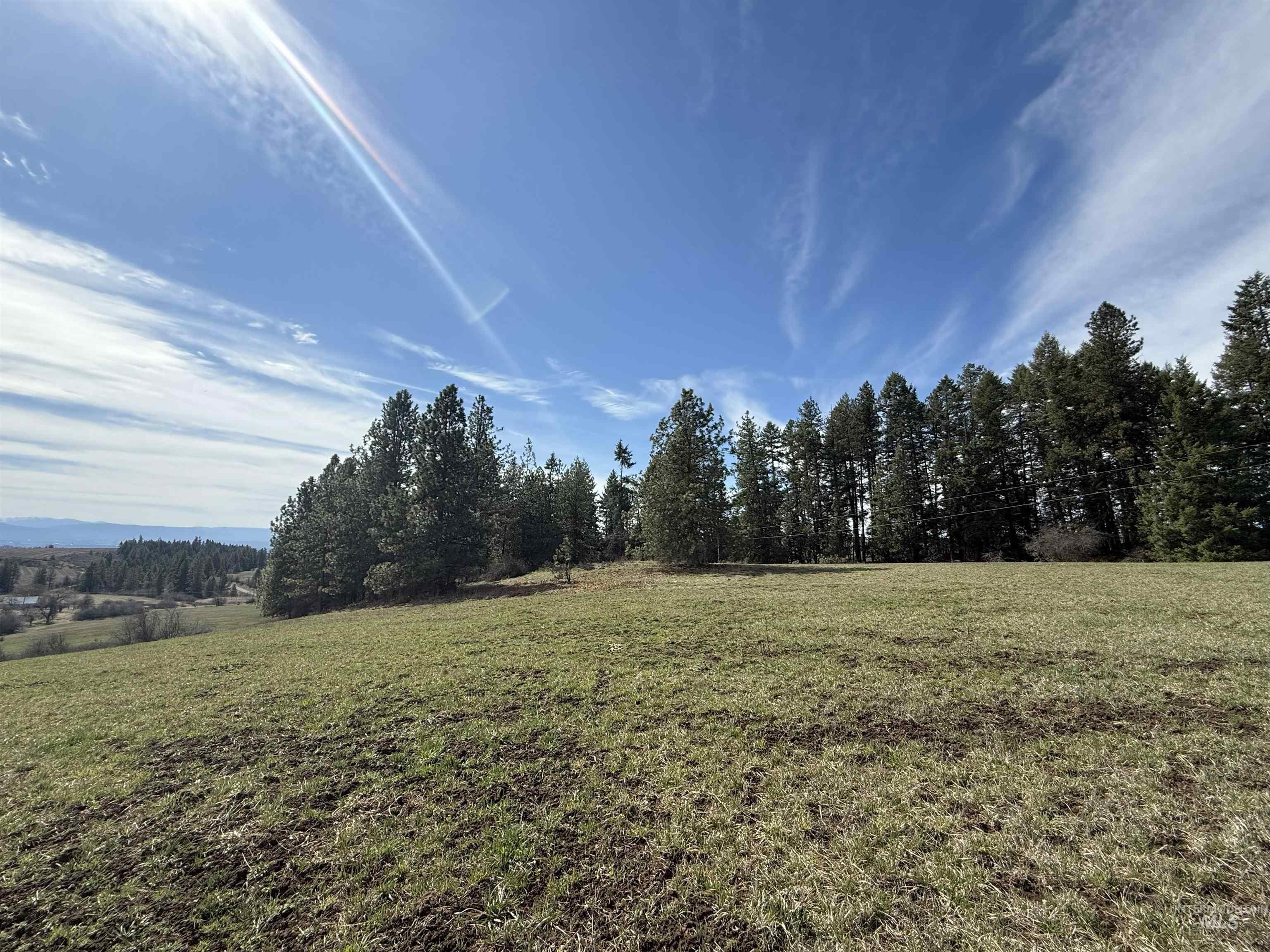 Tbd Kidder Ridge Road Kamiah, ID 83536 - Photo 9 of 18 View of green lawn featuring a view of rural / pastoral area
