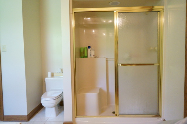 1760 East Burville Road Crete, IL 60417 - Photo 9 of 25 a bathroom with a granite countertop shower and a toilet
