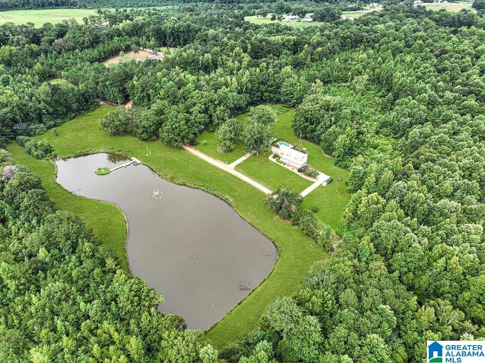 263 County Road 433 Clanton, AL 35045 - Photo 36 of 48