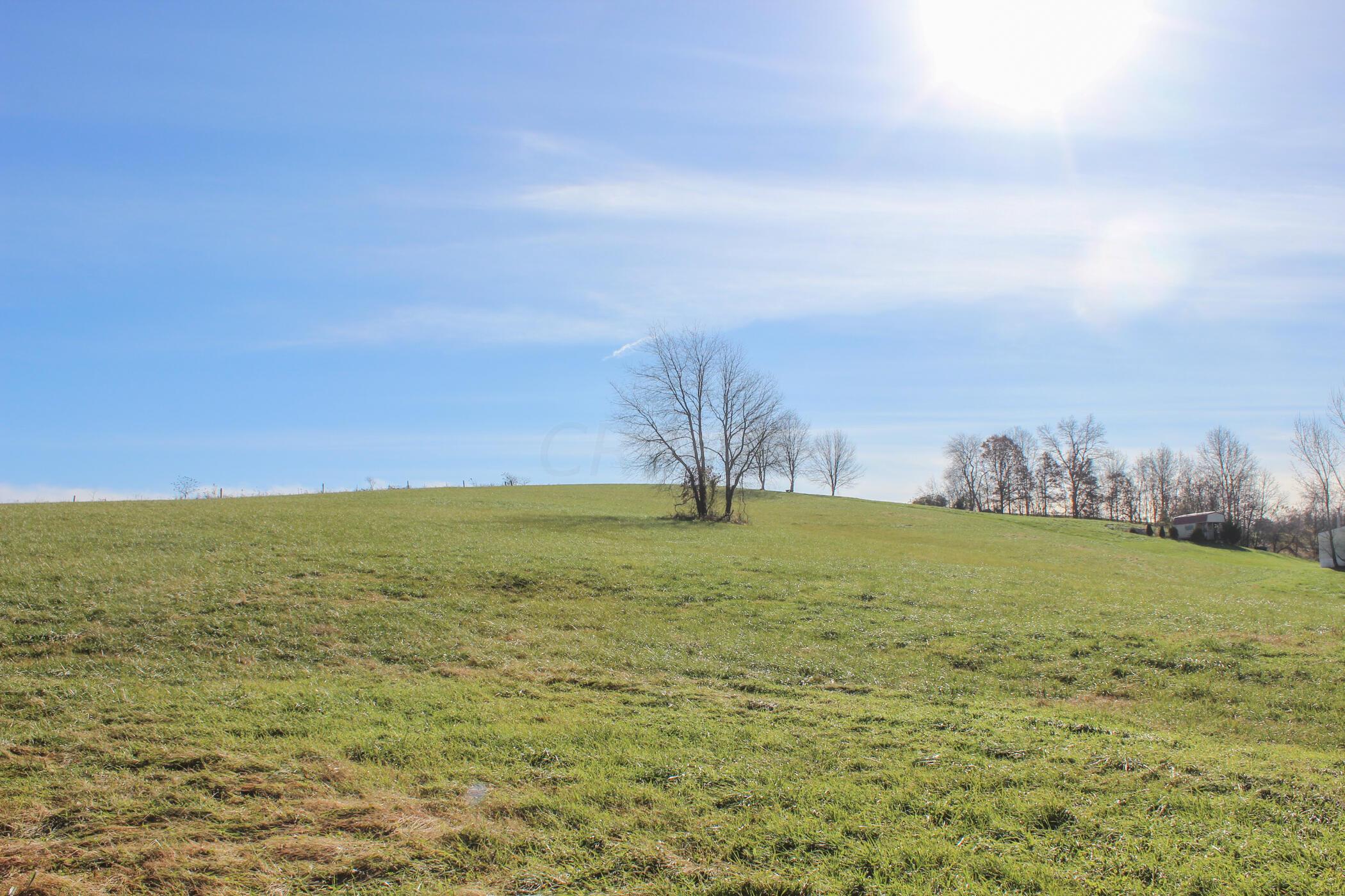 1404 Sam Gilliland Road Oak Hill, OH 45656 - Photo 6 of 15 IMG_5604