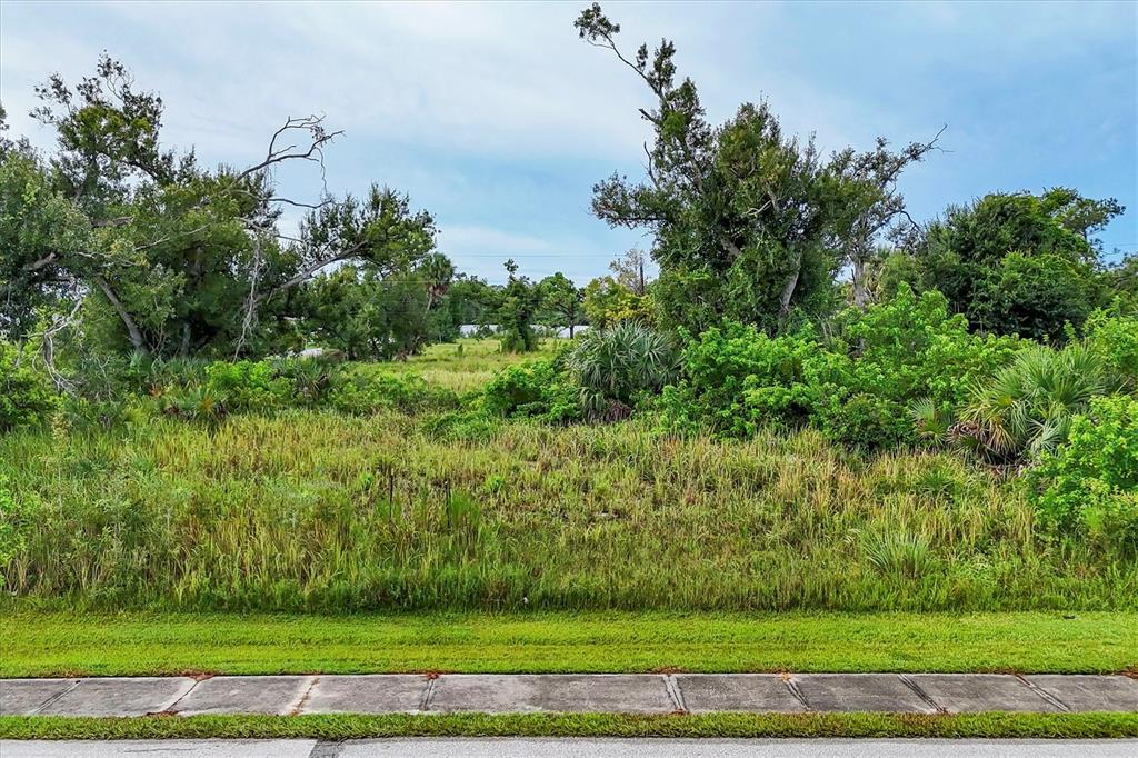 3285 South Access Road Englewood, FL 34224 - Photo 10 of 20 a view of a garden