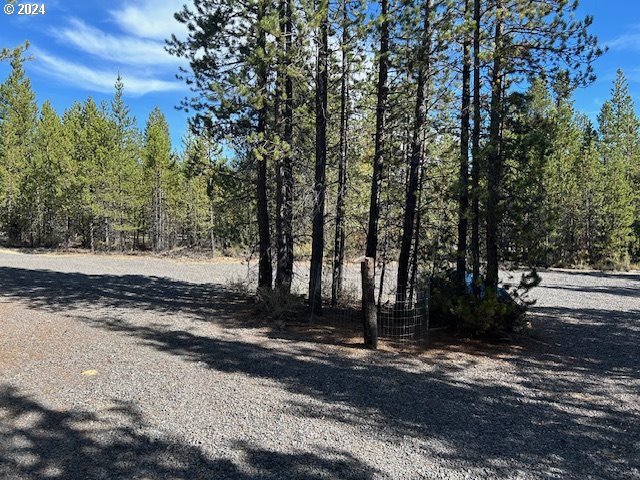 9 Surveyor Road Crescent Lake, OR 97733 - Photo 10 of 10 Gallery Image 10