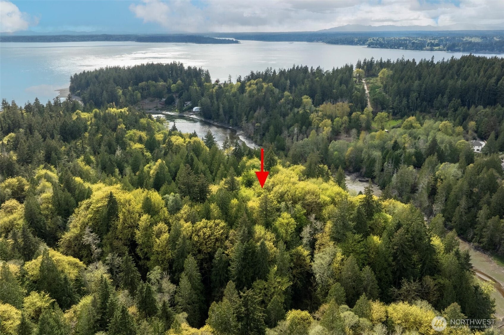 0 Reynolds Road Northwest Vaughn, WA 98394 - Photo 5 of 12 Gallery Image 5