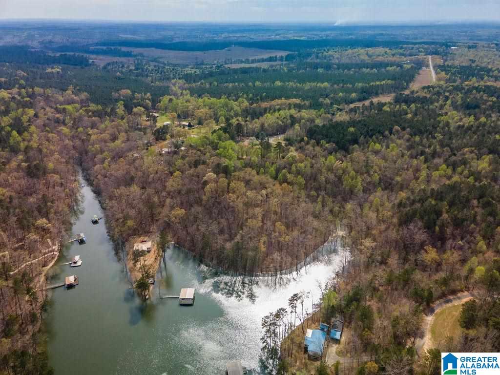 Smith Lake Dam Road Jasper, AL 35504 - Photo 5 of 15