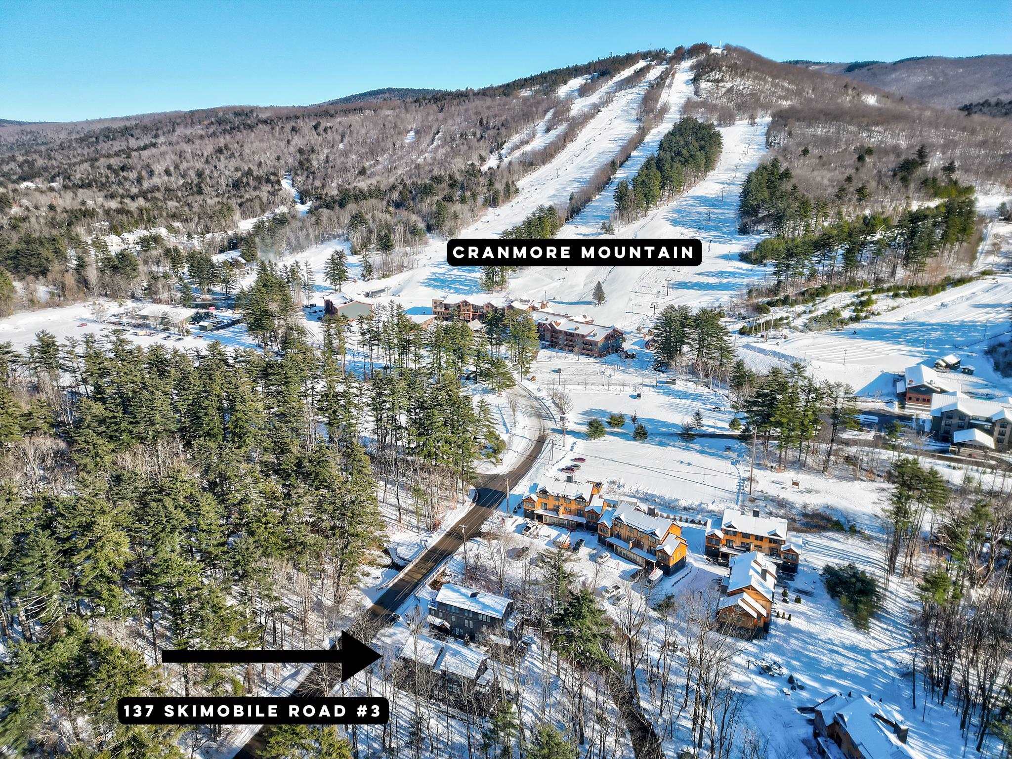 137 Skimobile Road, Unit 3 Conway, NH 03860 - Photo 3 of 57