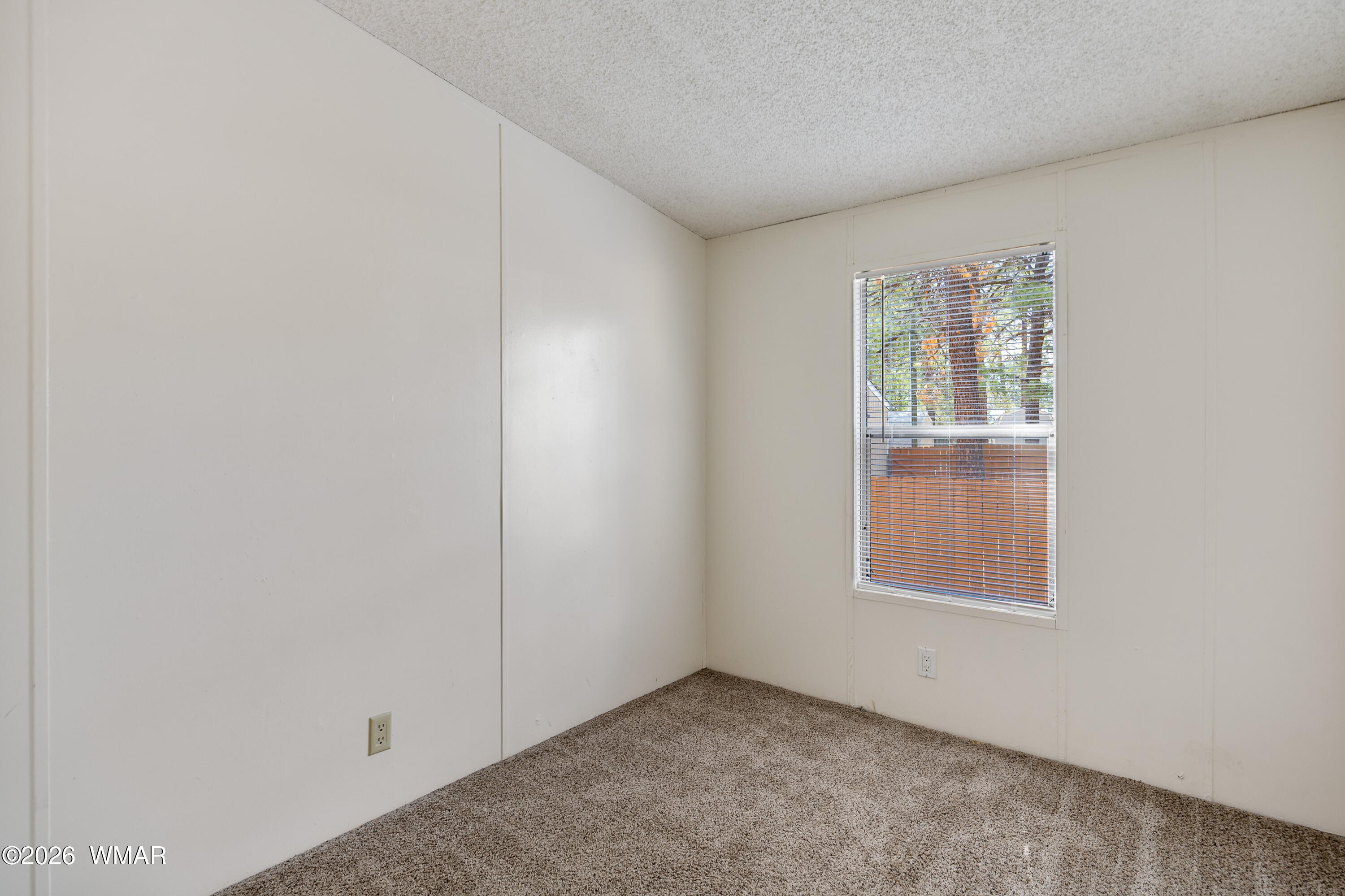 2177 Ruby Lane Overgaard, AZ 85933 - Photo 16 of 26