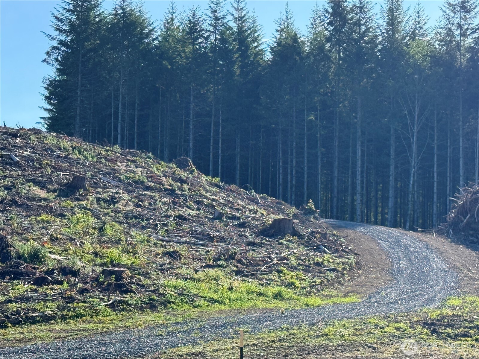 215 Mineral Road North Mineral, WA 98355 - Photo 8 of 29