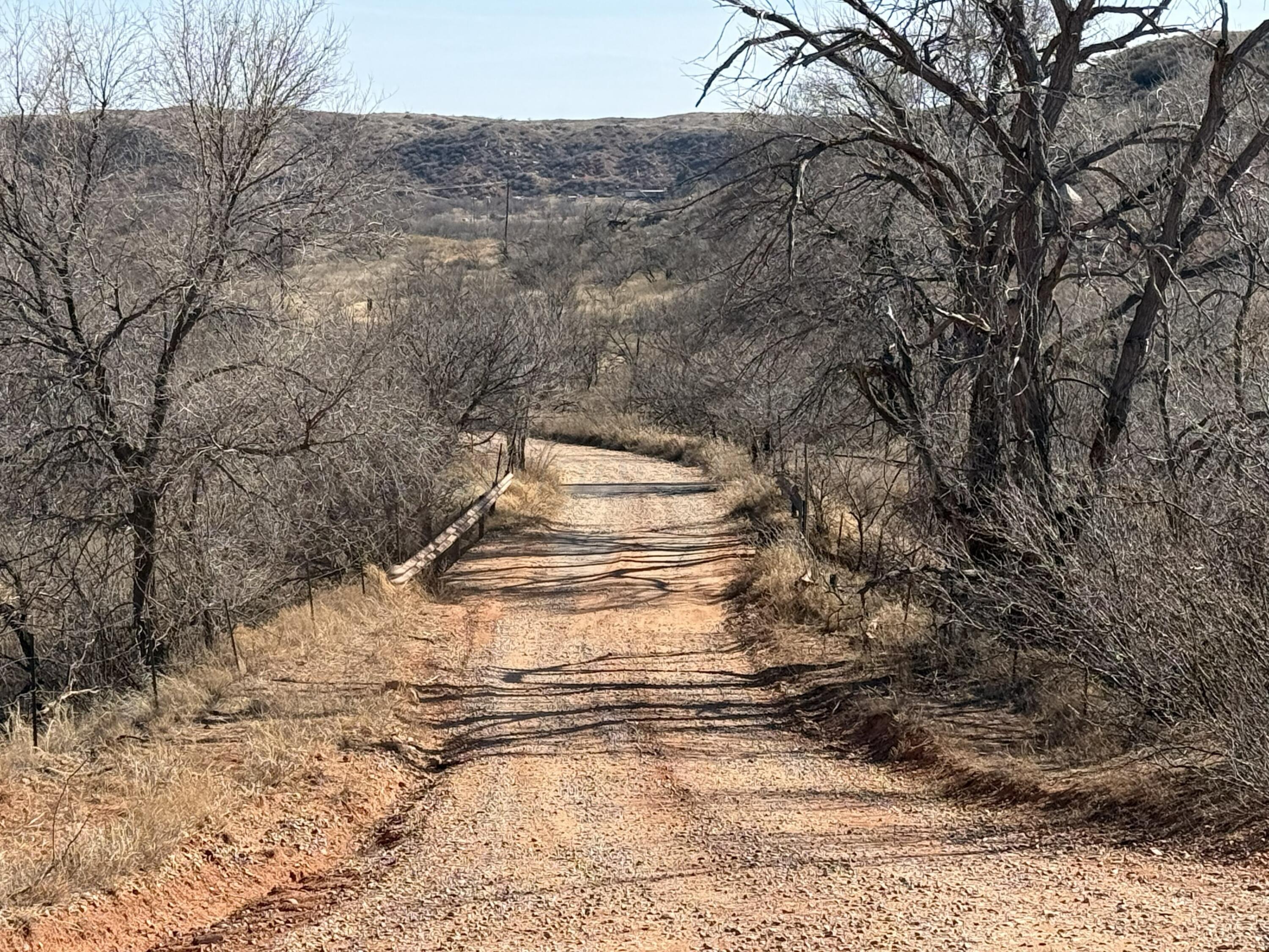 Petit Road Sanford, TX 79078 - Photo 5 of 14 a view of a yard with a trees