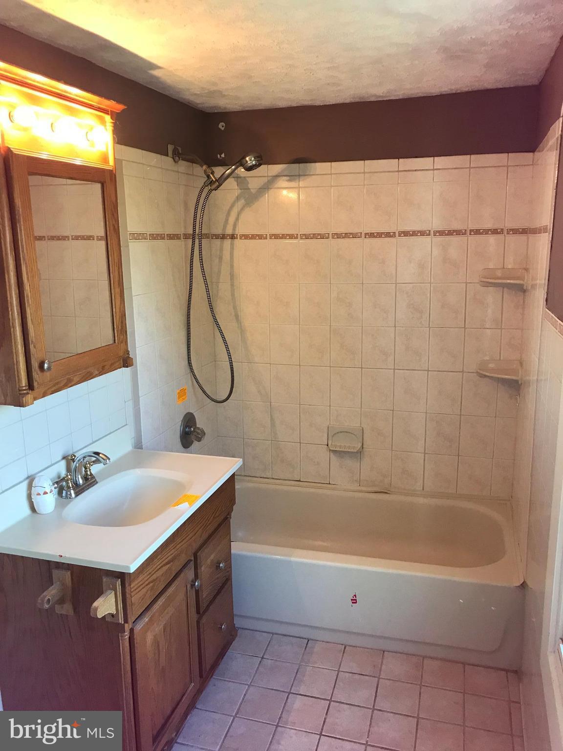 9705 Liberty Road Frederick, MD 21701 - Photo 19 of 29 Bath (Master)