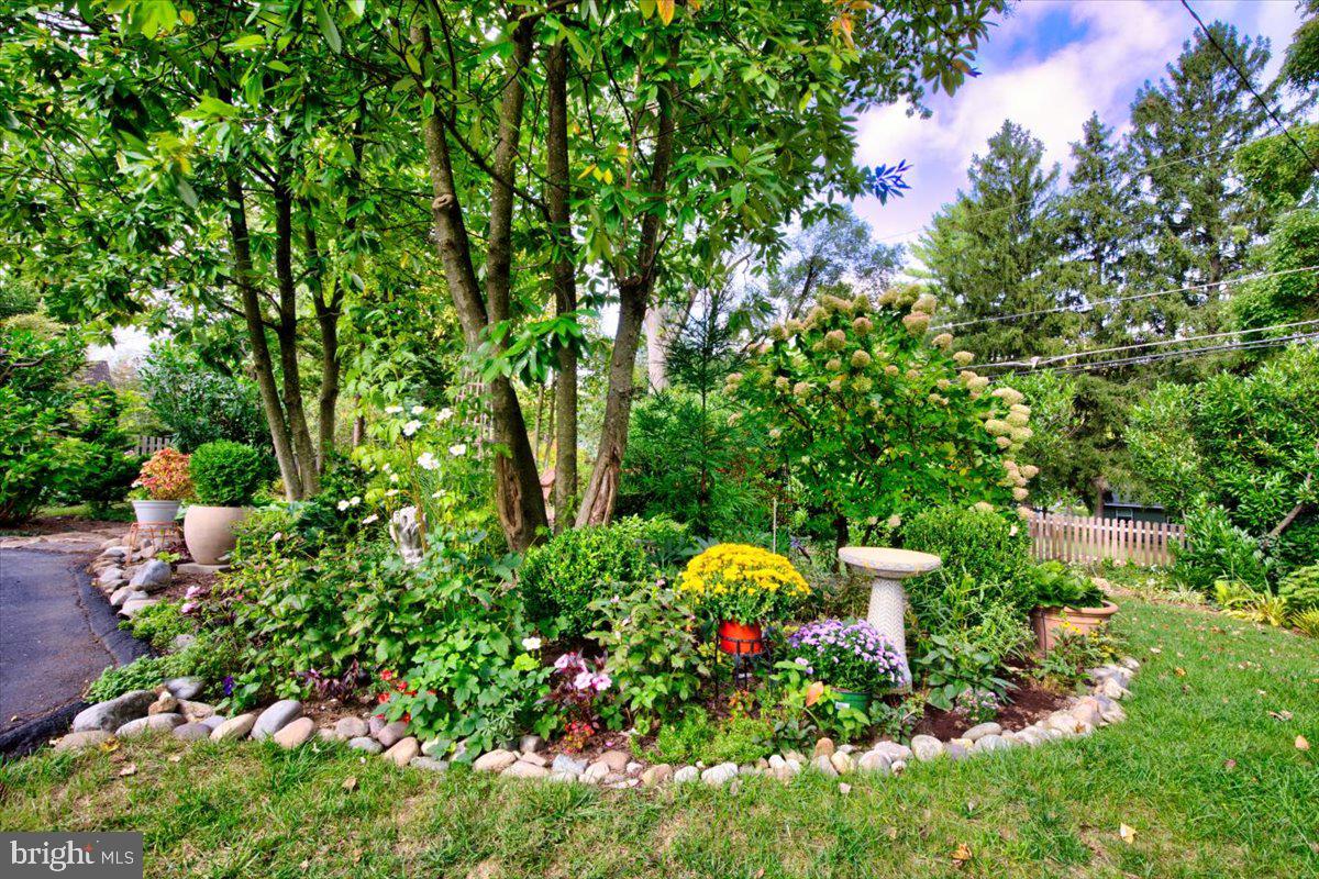 515 Lindley Road Glenside, PA 19038 - Photo 35 of 43 Backyard