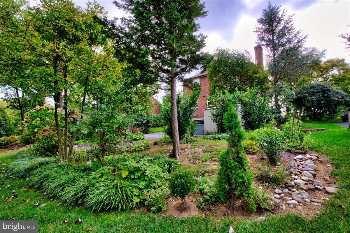 515 Lindley Road Glenside, PA 19038 - Photo 36 of 43 Backyard
