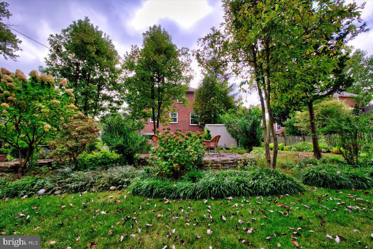 515 Lindley Road Glenside, PA 19038 - Photo 37 of 43 Backyard