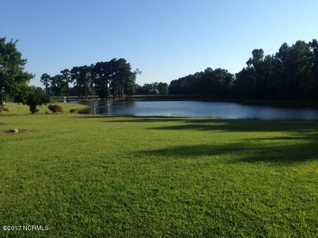 1804 Sheldon Road Bailey, NC 27807 - Photo 13 of 13 Pond View