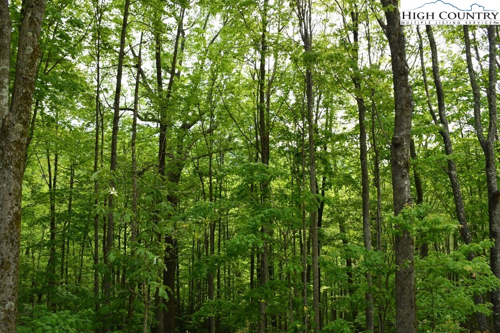 205 Locust Ridge Road Beech Mountain, NC 28604 - Photo 2 of 4 a view of outdoor space and mountain view