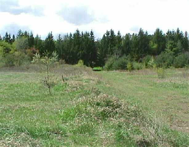 144 County Rt 312 Westerlo, NY 12193 - Photo 2 of 4 Photo 2
